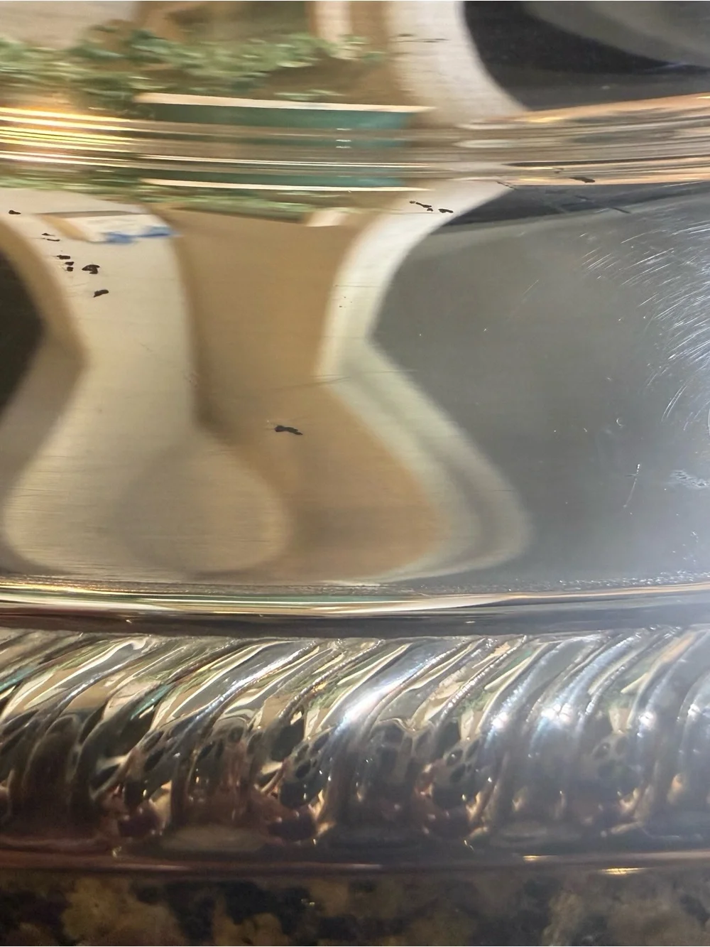 Vtg International Silver Tree Of Life Footed Silver Plated Platter 16.25” X 12”